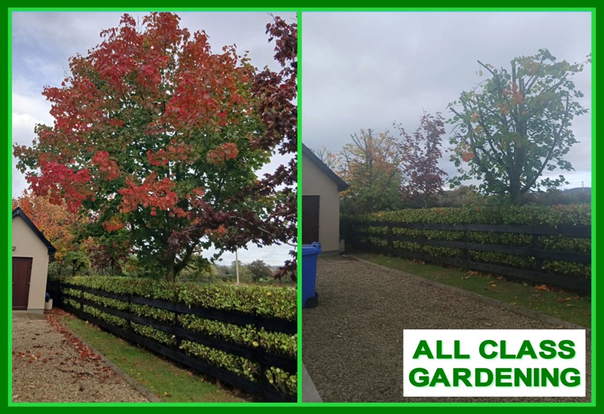 Garden maintenance services in Clonmel and Carrick-on-Suir