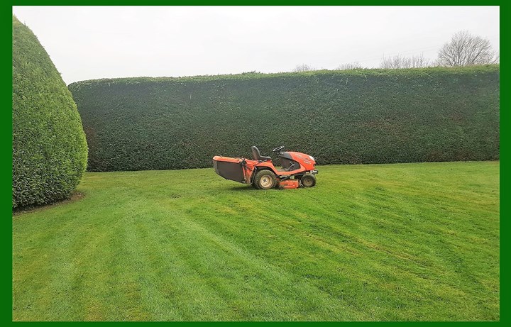 Garden Maintenance Services Tipperary - Tree and Hedge cutting