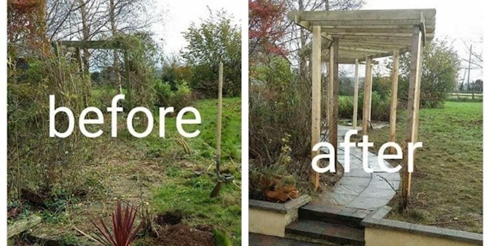 garden Clearances in Kildare
