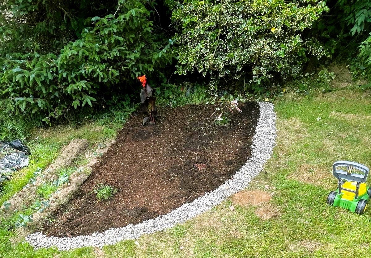 Flower bed in West Cork by Cillian Crowley