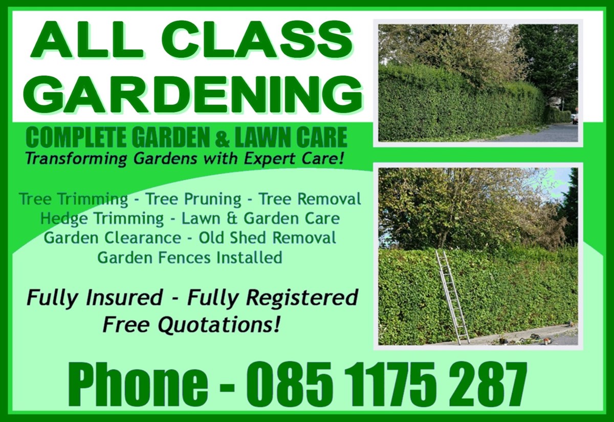 Garden clearance and garden maintenance in Clonmel and Carrick-on-Suir