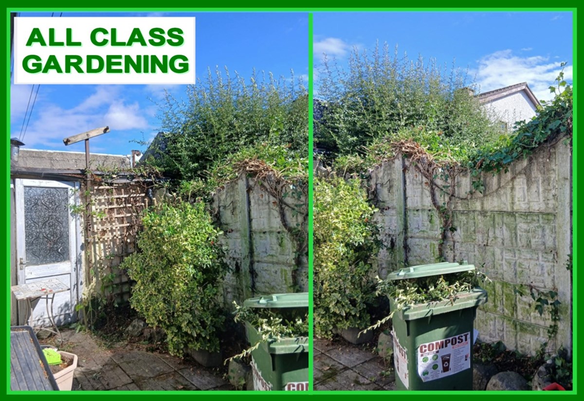 Garden clearances and garden maintenance in Clonmel and Carrick-on-Suir