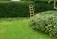 Garden Maintenance Tipperary - John Sheary