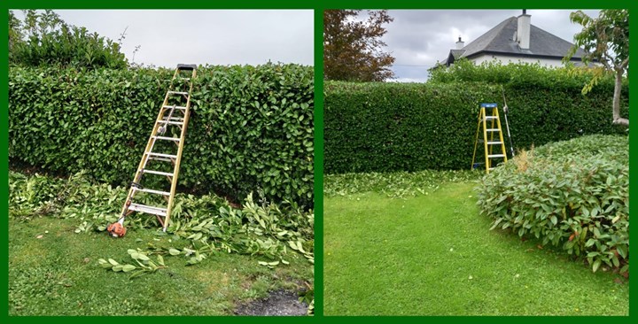 Garden Maintenance Services Tipperary - Tree and Hedge cutting