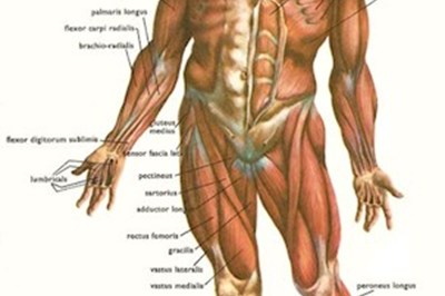 Sports Injury Therapy  Mullingar, Tyrrellspass, Tullamore. David Gavigan