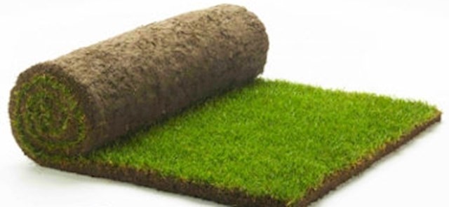 Grass store turf roll