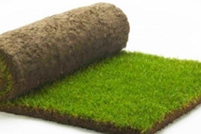 Roll Out Lawns Louth, Cooley Turfgrass