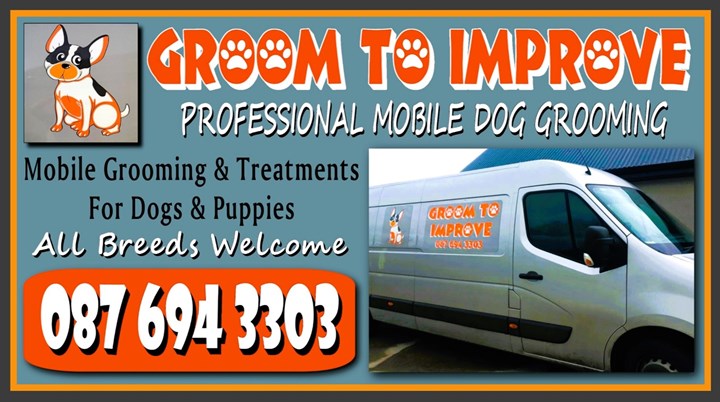 Mobile dog groomer athlone - Groom To Improve