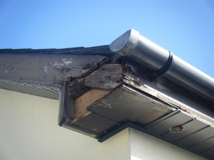 Gutter, fascia and soffit repairs in Kildare