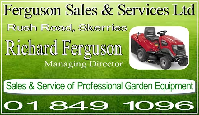 Ferguson Sales & Services Ltd. logo