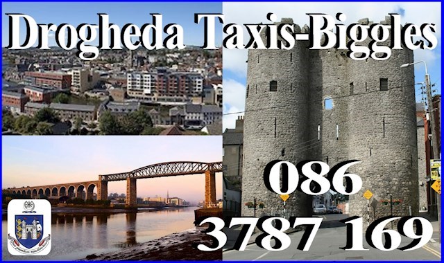 Drogheda Taxi-Biggles Logo