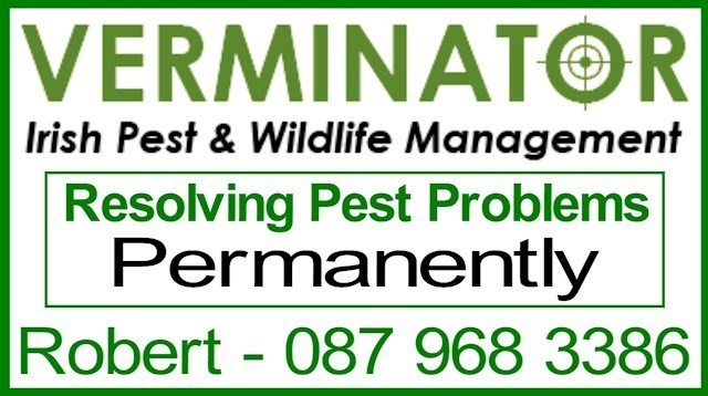 Image of Verminator header, vermin and pest control in Dublin is carried out by Verminator