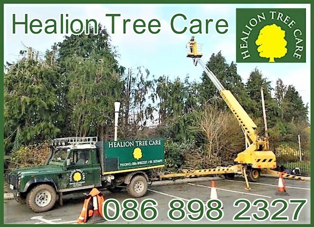 Image of Healion Tree Care header, tree felling and hedge trimming in Maynooth, Celbridge and Dunboyne is provided by Healion Tree Care
