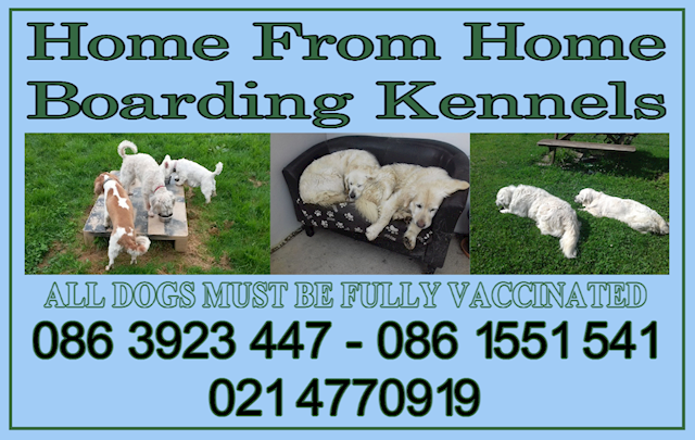 Image of Home From Home Boarding Kennels header, dog boarding kennel facilities in Kinsale are provided by Home From Home Boarding Kennels
