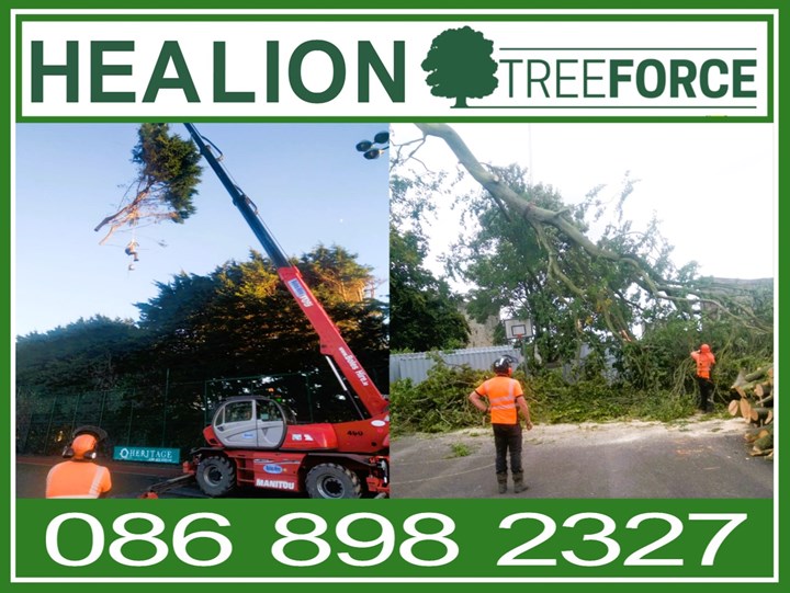 Healion Tree Surgeons in Meath - logo