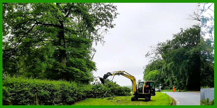 Hedge cuttinh in Meath carried out by Heallion Tree force