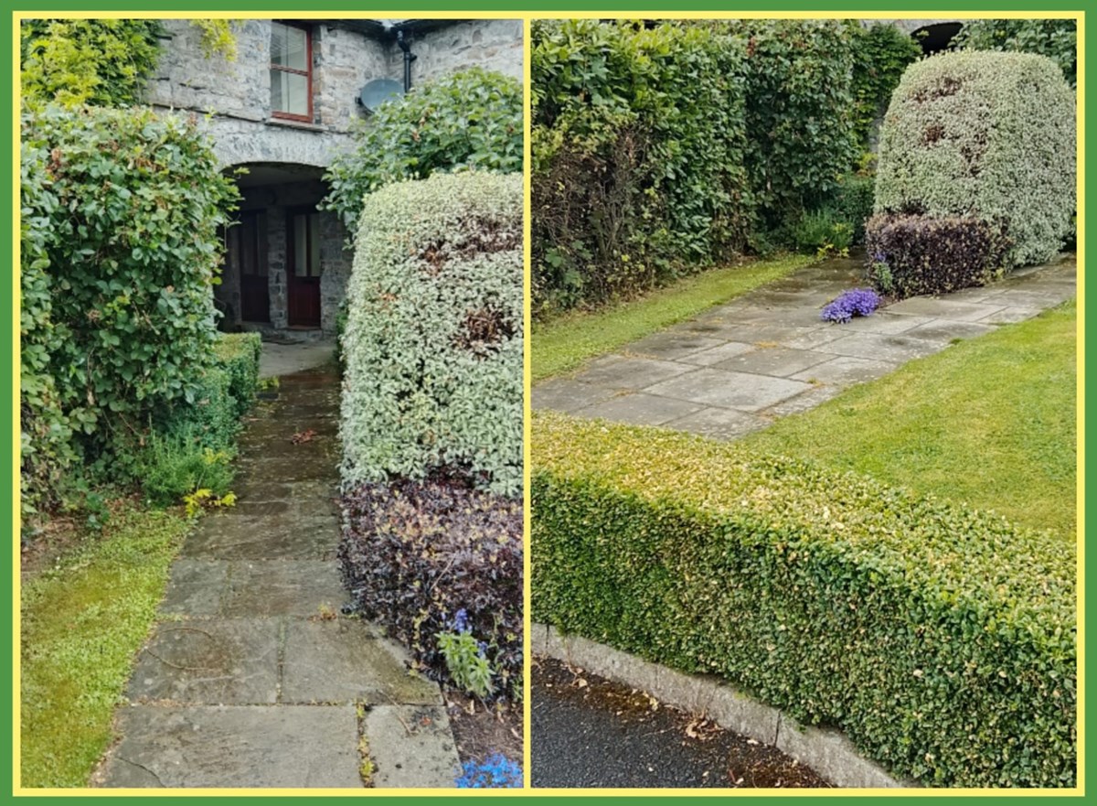 Handyman gardening services in Trim