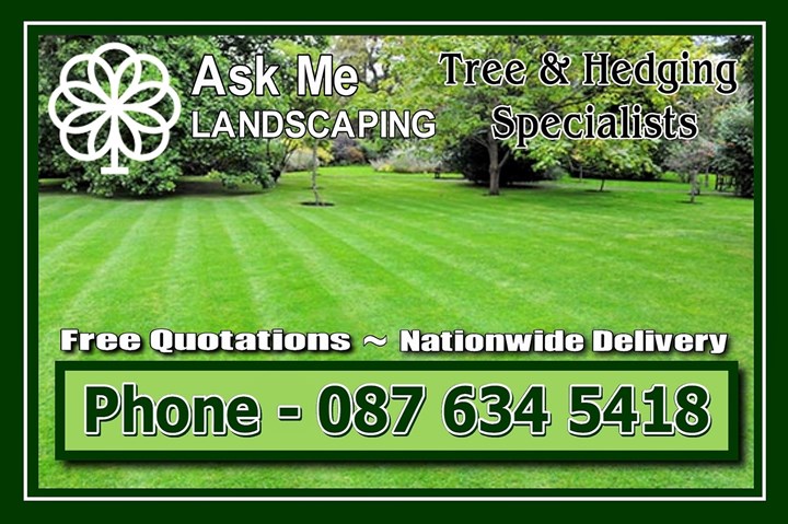Ask Me Landscaping - Hedging Carlow