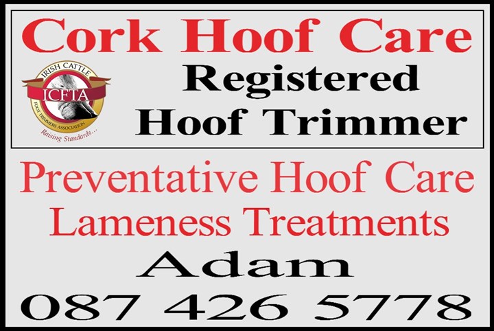 Hoof trimmer Cork, Logo