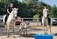 Horse Riding Lessons Navan. Fergus O'Connor