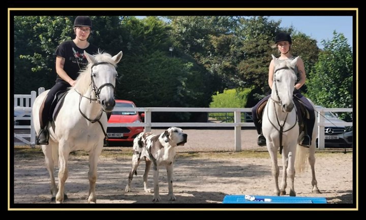 Horse riding lessons in Navan are available from Dunmoe Riding School