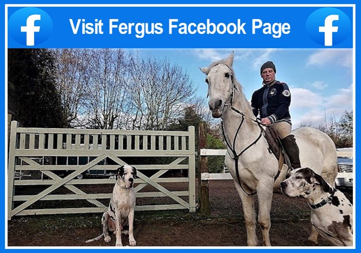 Horse riding lessons in Navan