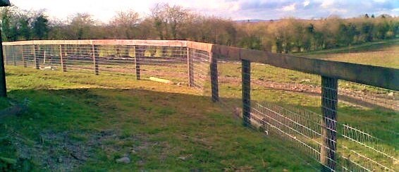 Horse wire fencing Laois