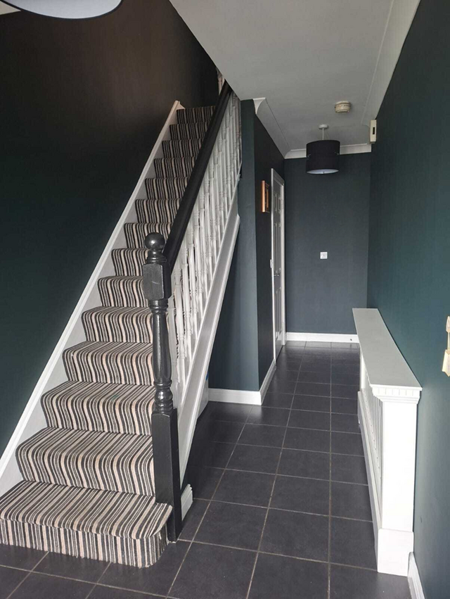 Painter Raheny