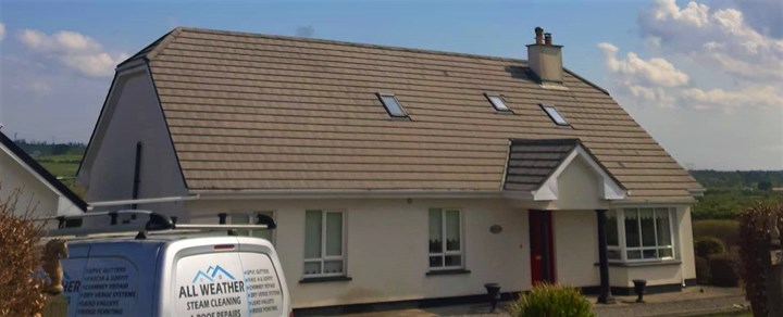 Roof painting Kildare
