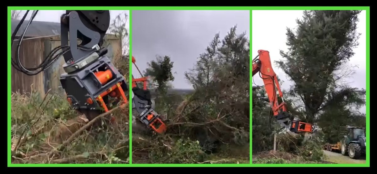 Dangerous tree removal and tree clearance in Castlerea, Ballyhaunis, Ballaghaderreen, and Roscommon