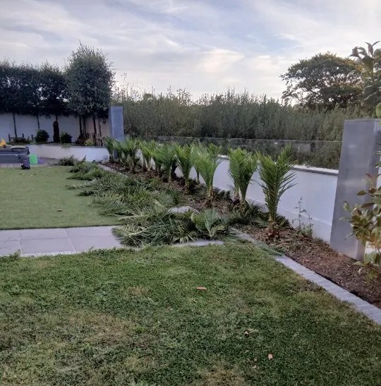 Garden Services Ballincollig,  Douglas