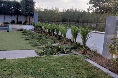 Garden Services Ballincollig,  Douglas