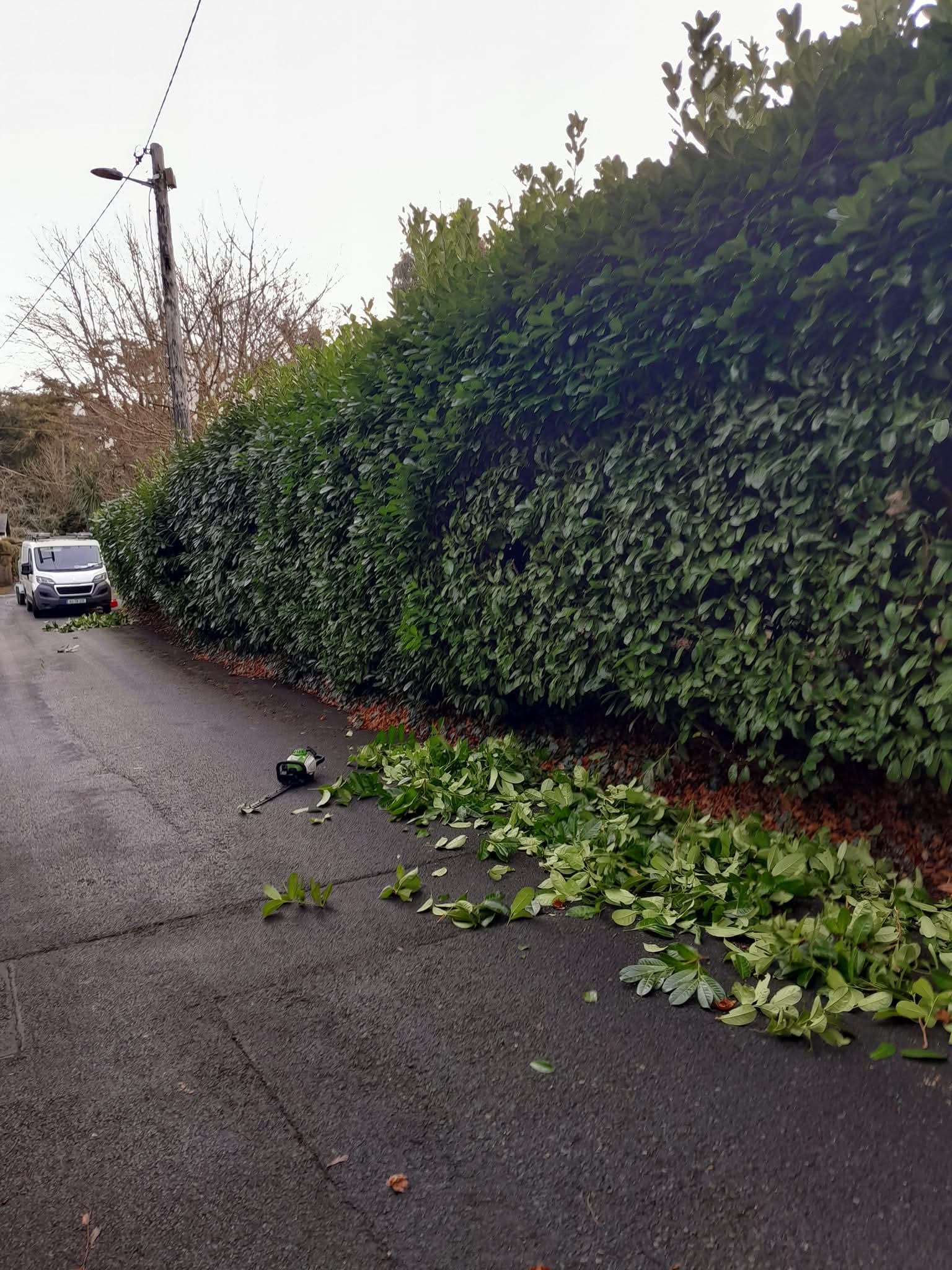 Gardener Clonmel - Carrick-on-Suir