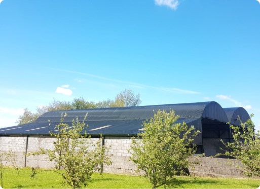 Farm Shed Painting Cork