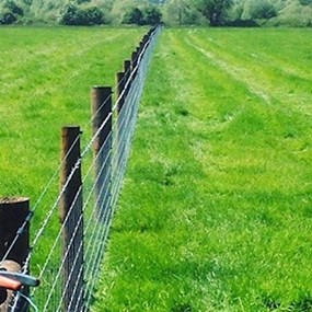 image of fencing from Mel Farrell Fencing Longford