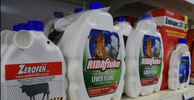 Image of stock in Slane Farm Supplies Meath, all types of livestock and farm essentials are available in Slane Farm Supplies in Meath