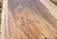 Natural Edged Timber