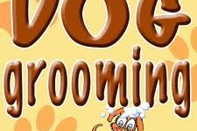 Dog Grooming Mullingar