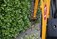 Garden Maintenance Tipperary - John Sheary