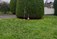 Garden Maintenance Tipperary - John Sheary