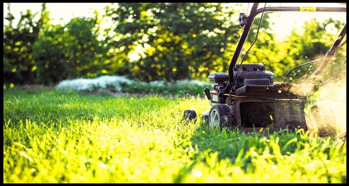 second hand lawnmower sales North County Dublin