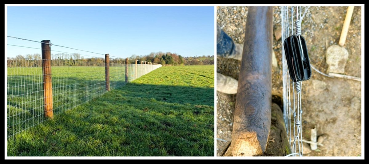 Livestock fencing in Kildare