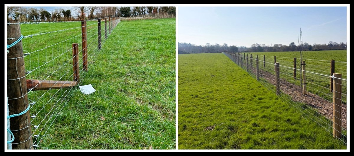 Livestock fencing in Kildare