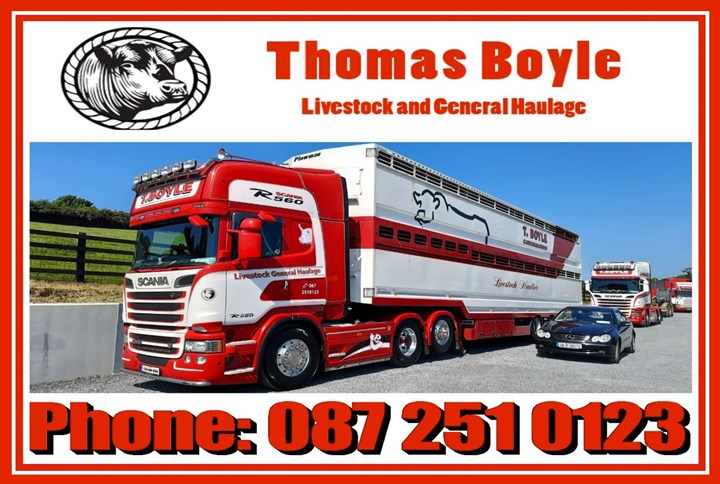 Thomas Boyle - Livestock Haulage Monaghan