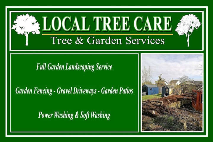 Local Tree Care - Tree Surgeons Dundalk - Services Provided
