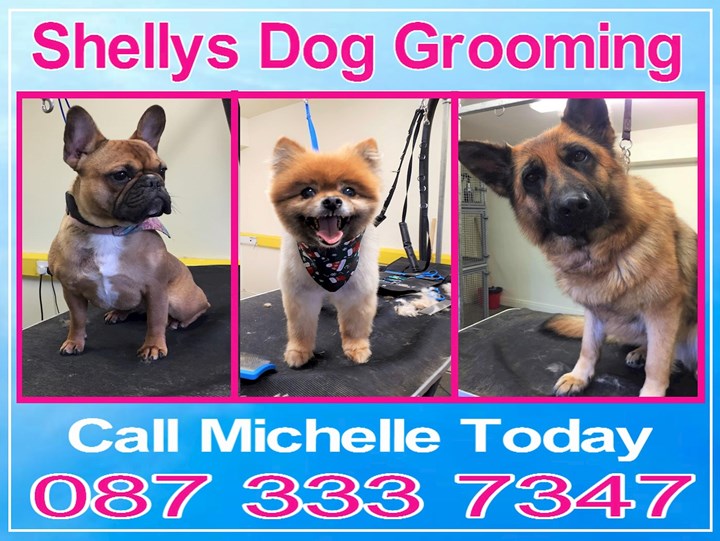 Dog grooming Monaghan logo