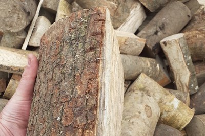 Laois loose firewood -