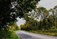 Man With Van - Thurles, Templemore, Nenagh