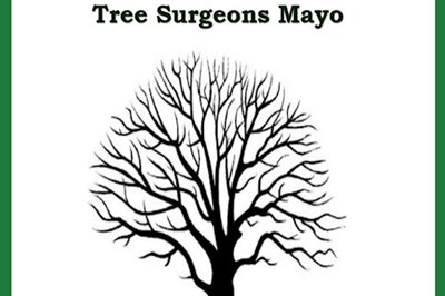 Tree Surgeons Mayo