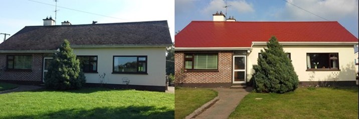 Roof cleaning and roof painting in Meath before and after image